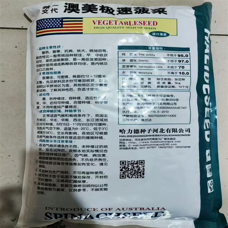 澳美极速菠菜种子晚抽苔美兰达种子耐热耐寒大叶菠菜种子