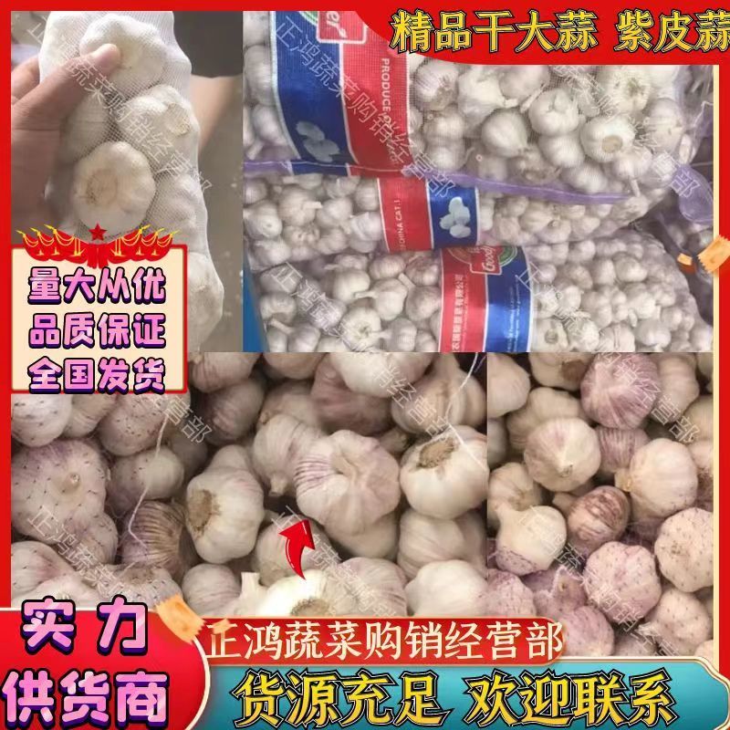 原皮大蒜干蒜净蒜紫皮蒜干蒜头杂交大蒜保质保量