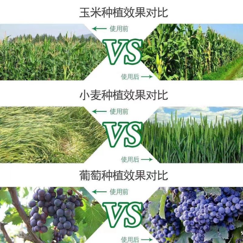 速溶磷酸二氢钾云天化大包装叶面肥磷肥钾肥瓜果蔬菜花卉通用
