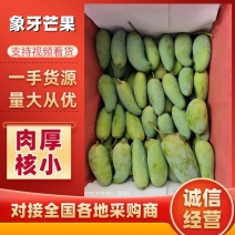 【精选】海南象牙芒果可凉拌可熟吃品质优良欢迎来电