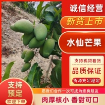 海南三亚水仙芒金黄芒大量接单一级零售价批发价欢迎光临本店