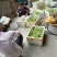 贵州黄金百香果钦蜜9号大量上市基地直供货源充足