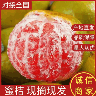 【热卖】蜜橘，湖北柑橘，产地直发，全国发货，对接大型采购