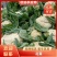 开封菜花松花菜产地直发大量现货价格便宜欢迎电话联系