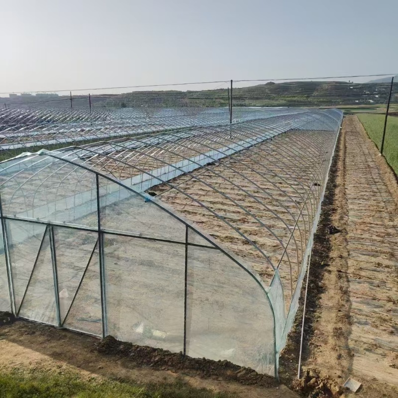 温室大棚骨架种植大棚全国承接各种温室工程可实地测量