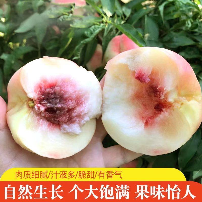蒙阴精品永莲蜜桃，产地直发，品质保证，量大从优，欢迎来电