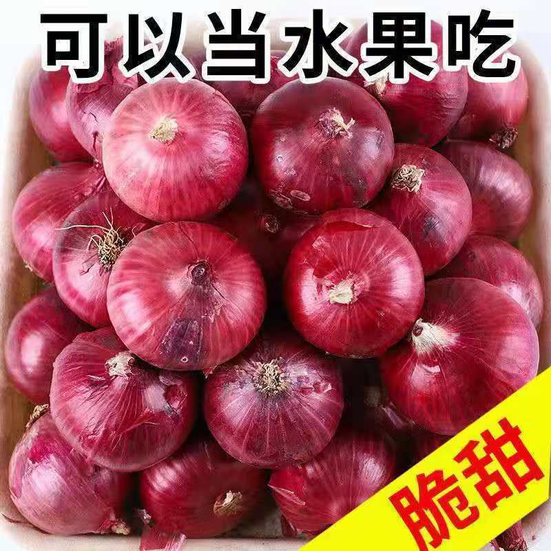 甘肃洋葱红皮洋葱，货源充足，品质保证，对接电商超市等