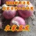 二红洋葱，甘肃产地直发，价格便宜，诚信经营，欢迎来电