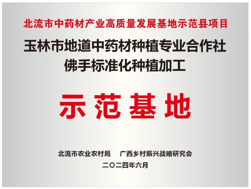佛手苗正宗广佛手苗优质高产基地直供南药园技术回收