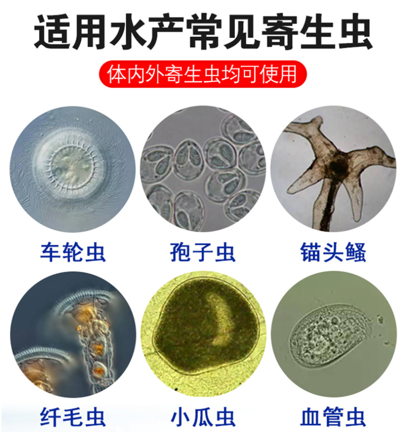 水产养殖驱虫草本植物萃取内外双驱寄生虫抑制驱除