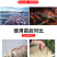 水产养殖驱虫草本植物萃取内外双驱寄生虫抑制驱除