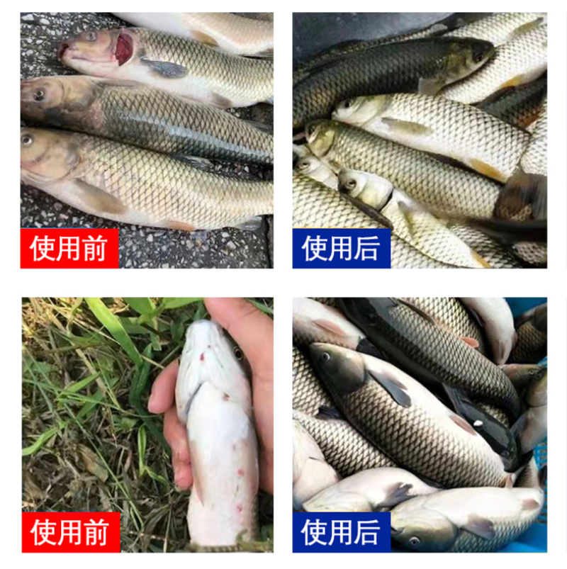 水产养殖驱虫草本植物萃取内外双驱寄生虫抑制驱除