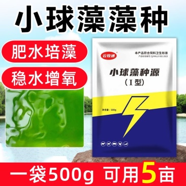 小球藻种源肥水增氧天然藻种定向培藻浓缩藻种