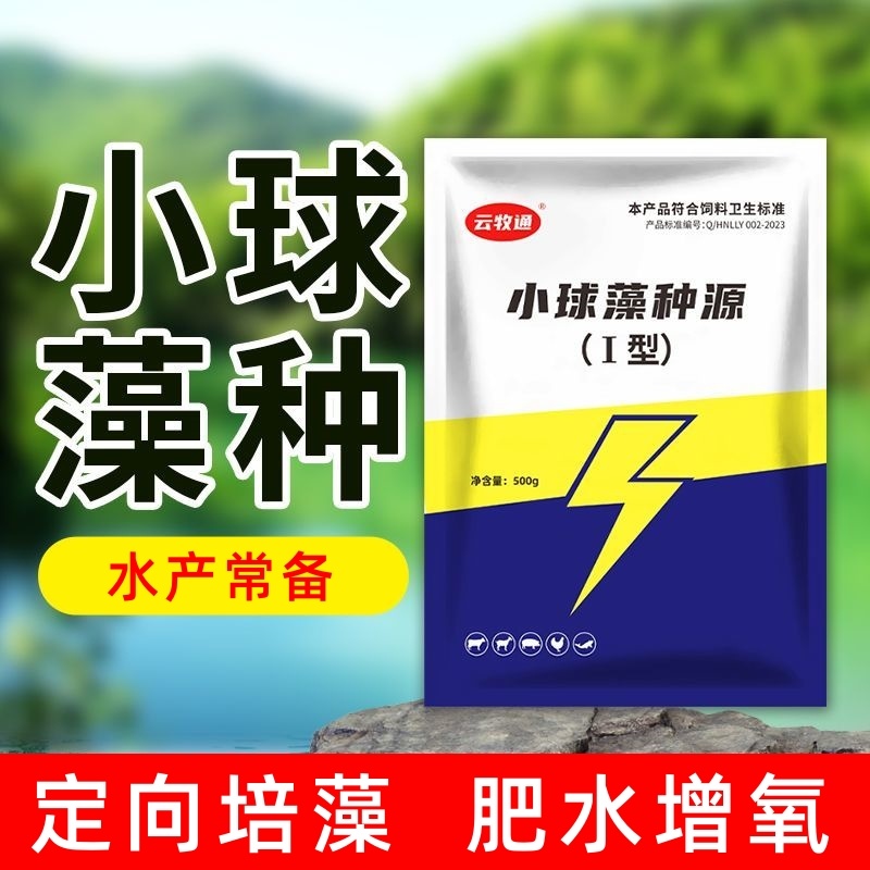 小球藻种源肥水增氧天然藻种定向培藻浓缩藻种