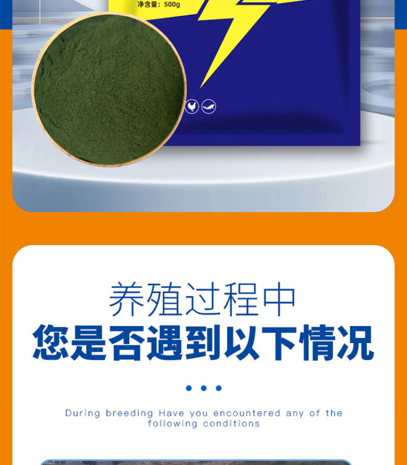 小球藻种源肥水增氧天然藻种定向培藻浓缩藻种
