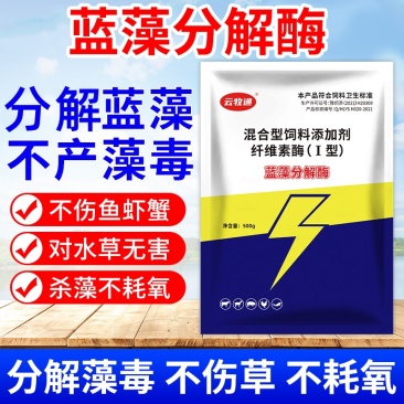 蓝藻分解酶净水杀蓝藻生物除蓝藻绿色无残留蓝藻克星