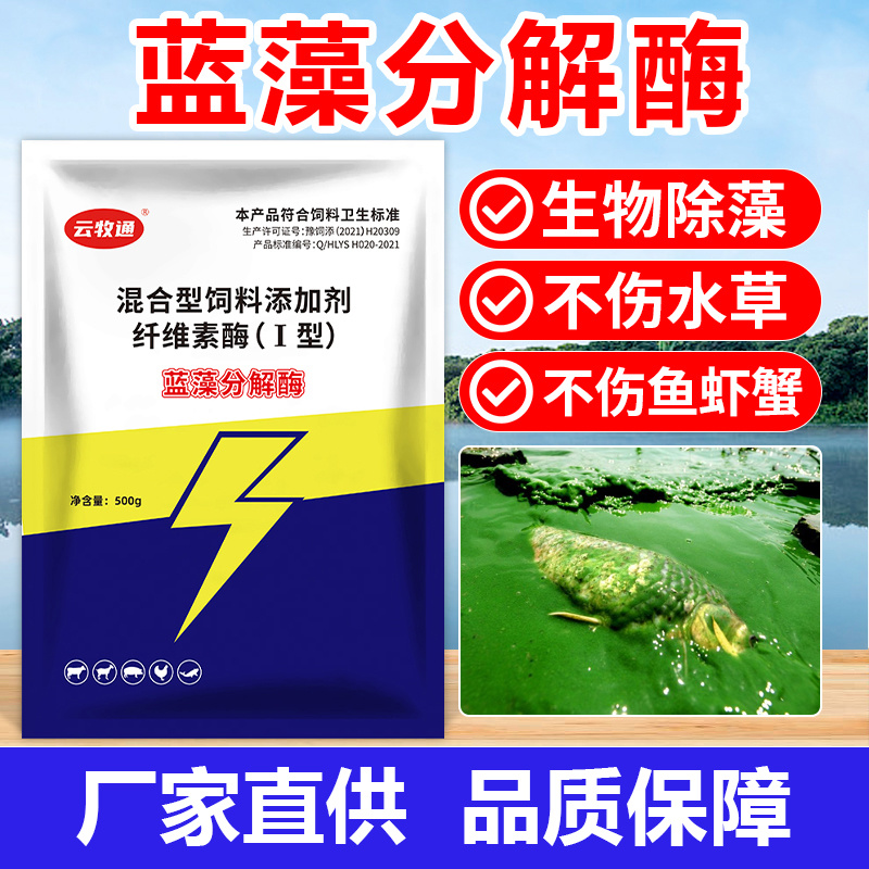 蓝藻分解酶净水杀蓝藻生物除蓝藻绿色无残留蓝藻克星
