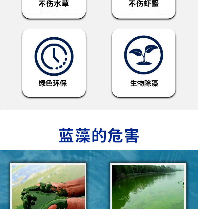 蓝藻分解酶净水杀蓝藻生物除蓝藻绿色无残留蓝藻克星
