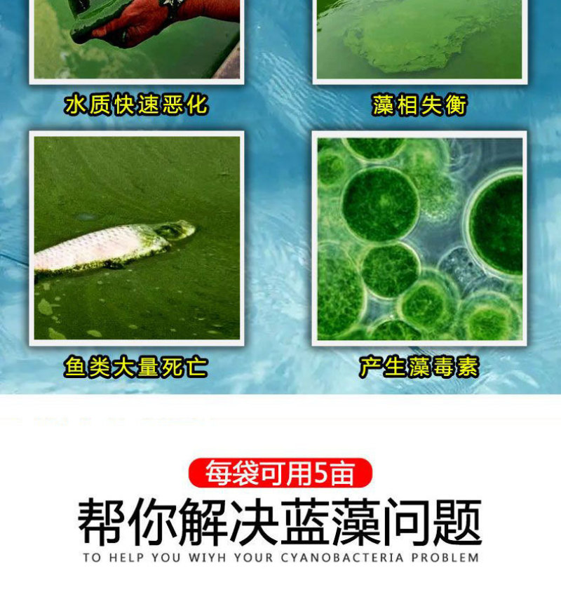 蓝藻分解酶净水杀蓝藻生物除蓝藻绿色无残留蓝藻克星