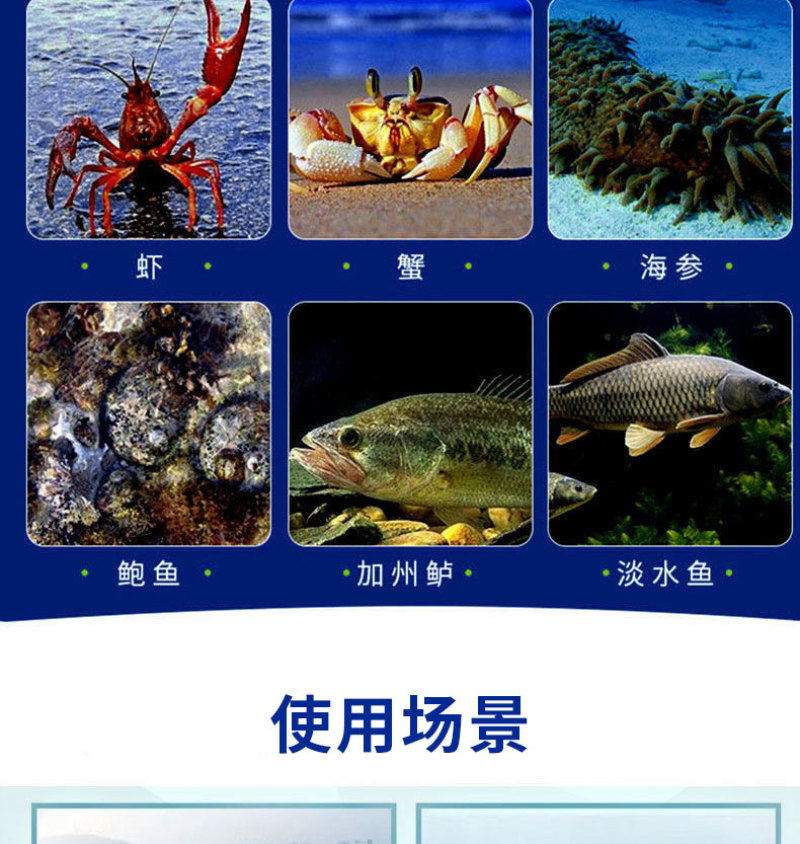 蓝藻分解酶净水杀蓝藻生物除蓝藻绿色无残留蓝藻克星