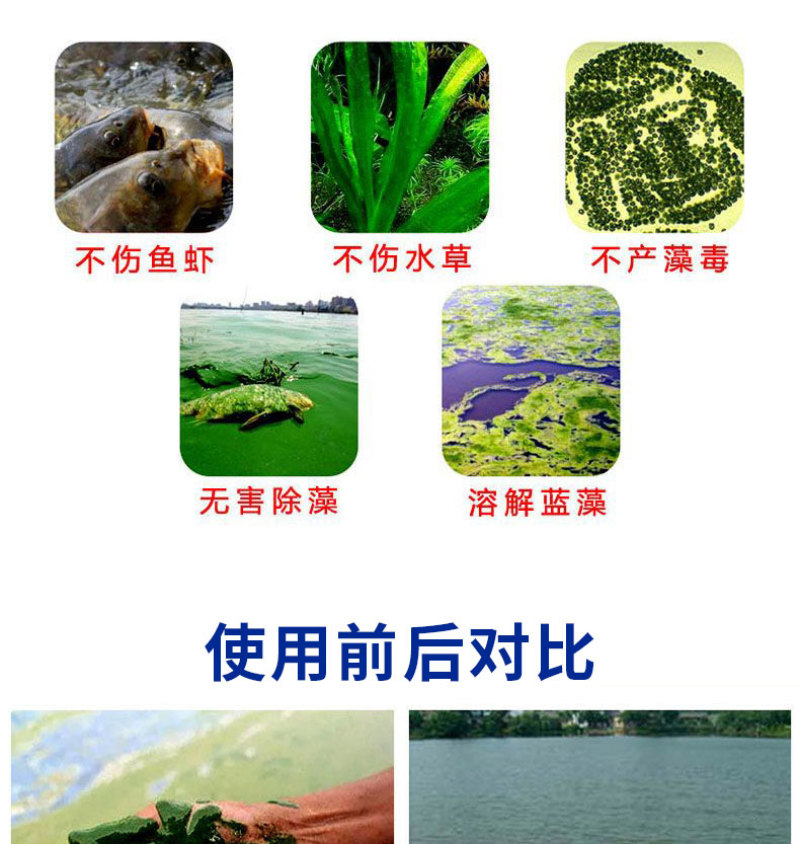 蓝藻分解酶净水杀蓝藻生物除蓝藻绿色无残留蓝藻克星