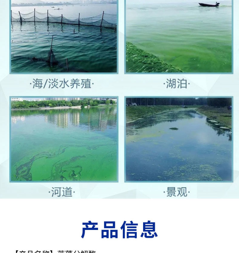 蓝藻分解酶净水杀蓝藻生物除蓝藻绿色无残留蓝藻克星