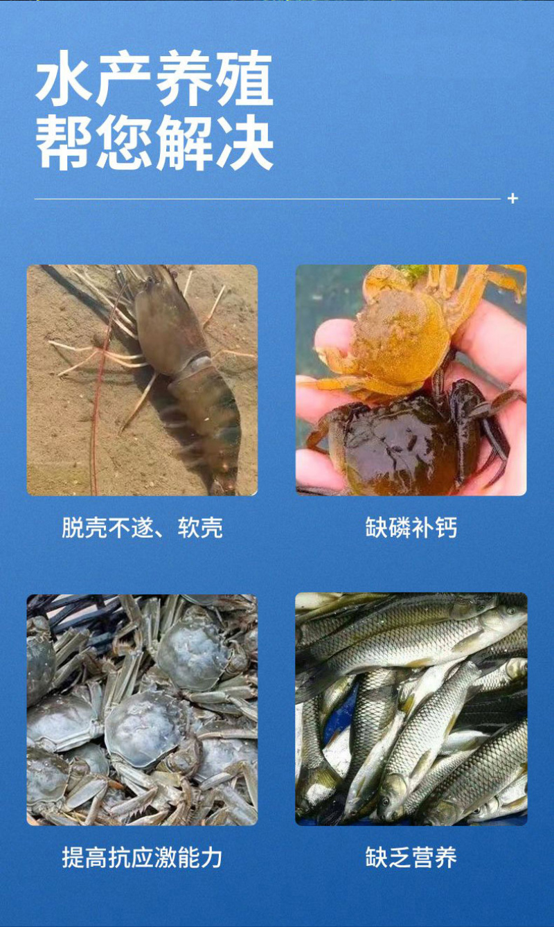 速补100复合矿物质微量元素营养全面水产专用