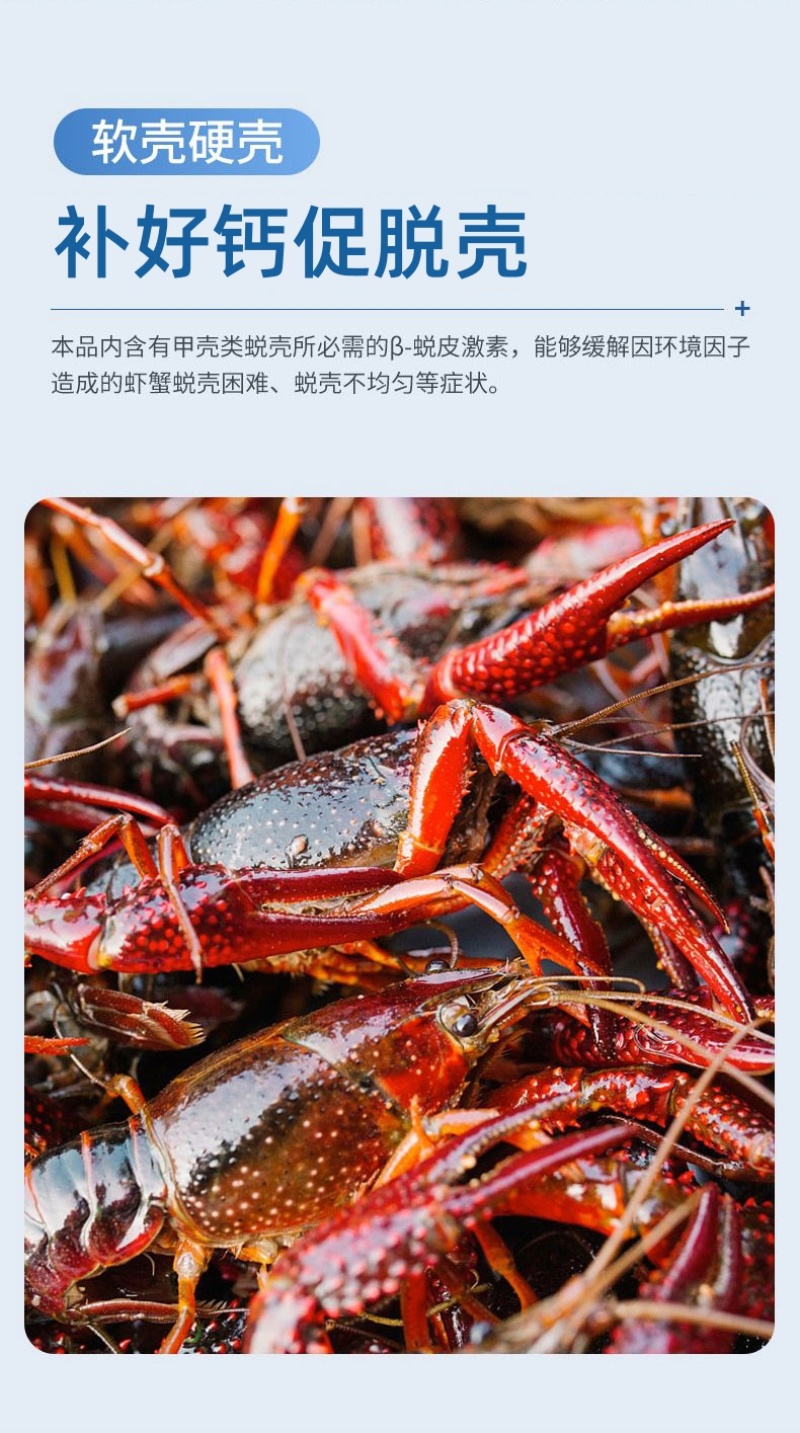 速补100复合矿物质微量元素营养全面水产专用