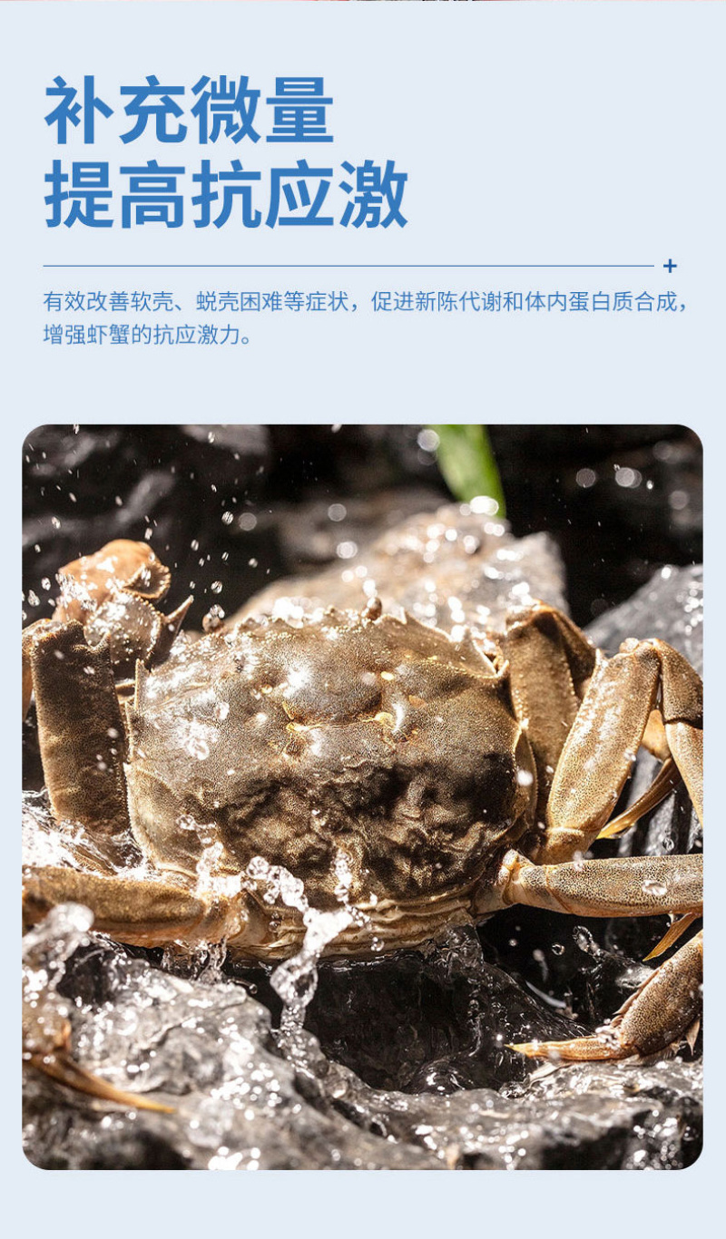 速补100复合矿物质微量元素营养全面水产专用