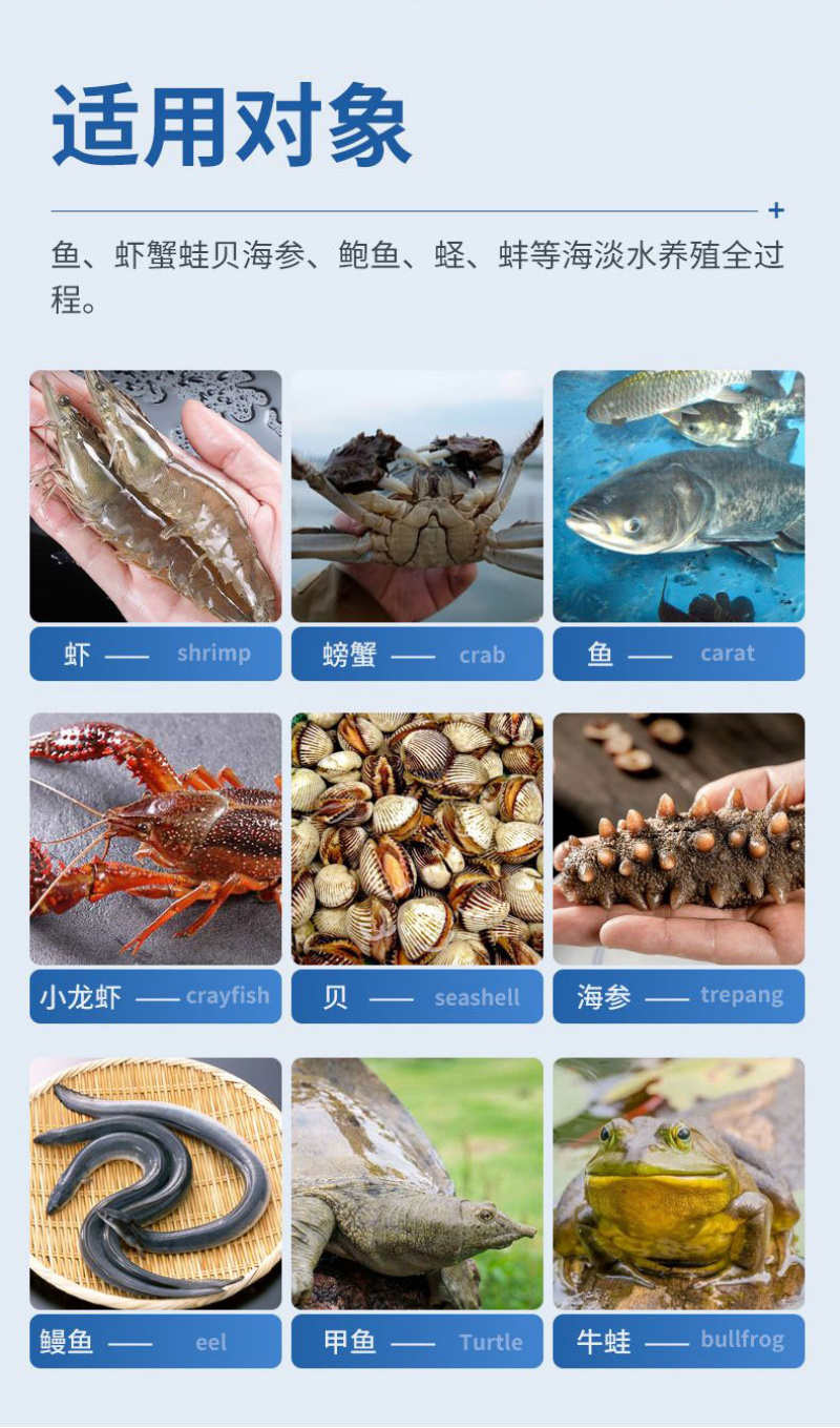 速补100复合矿物质微量元素营养全面水产专用