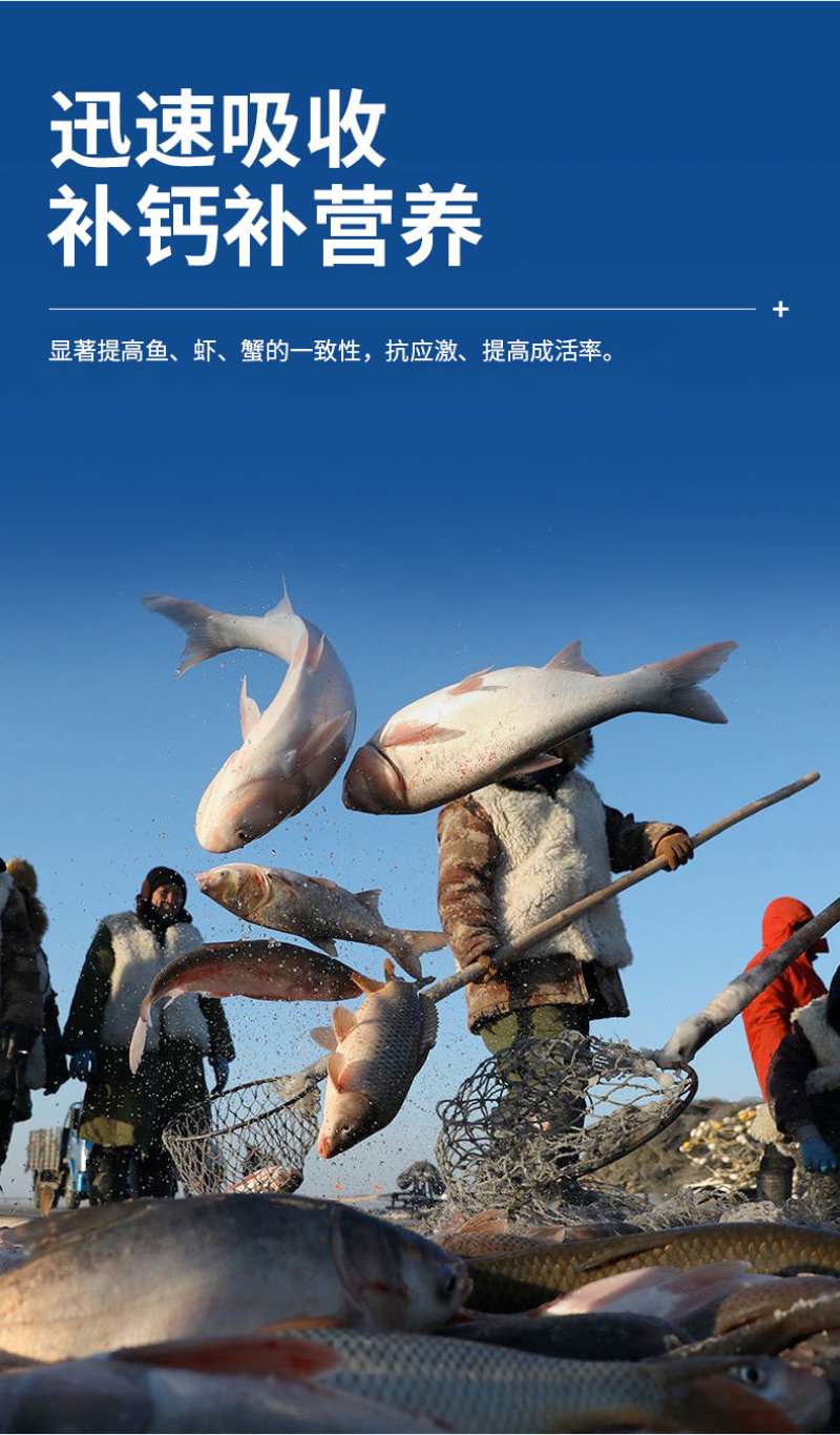 速补100复合矿物质微量元素营养全面水产专用