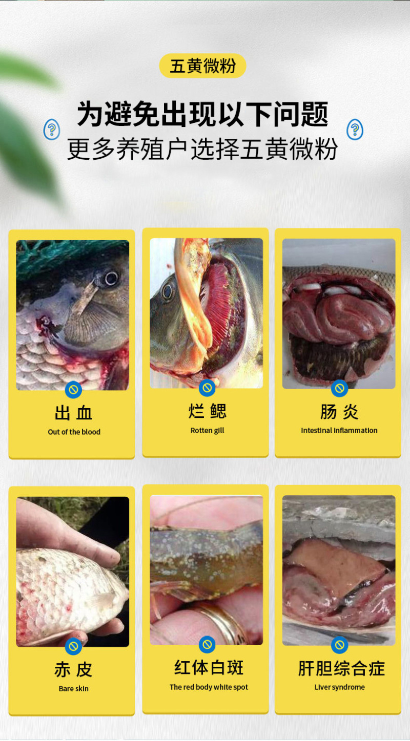 五黄微粉鱼塘五黄粉200目超微粉碎易吸收调理肠道