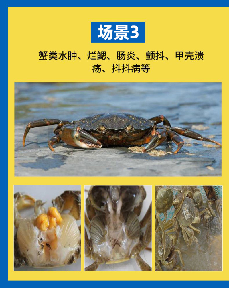五黄微粉鱼塘五黄粉200目超微粉碎易吸收调理肠道
