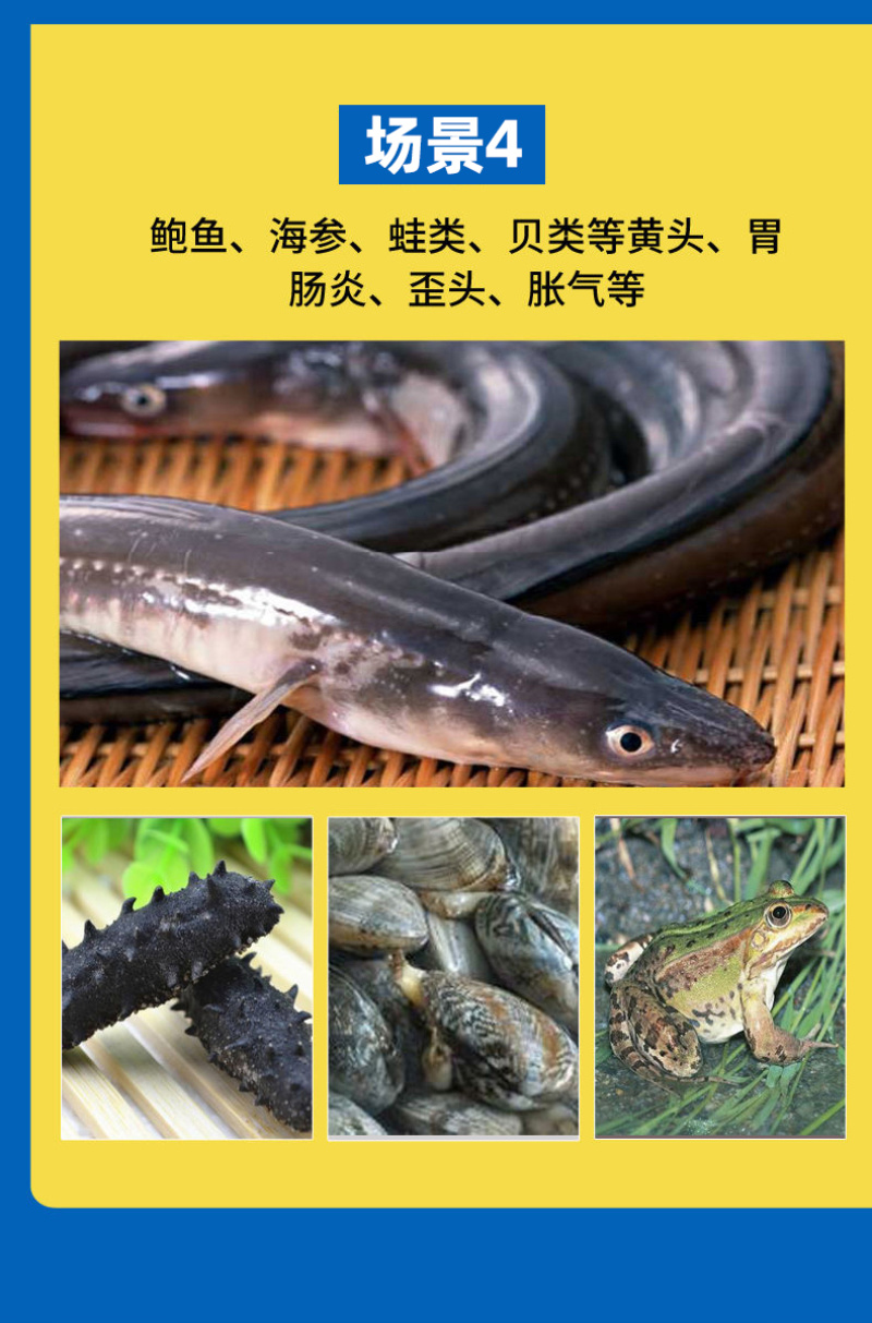 五黄微粉鱼塘五黄粉200目超微粉碎易吸收调理肠道