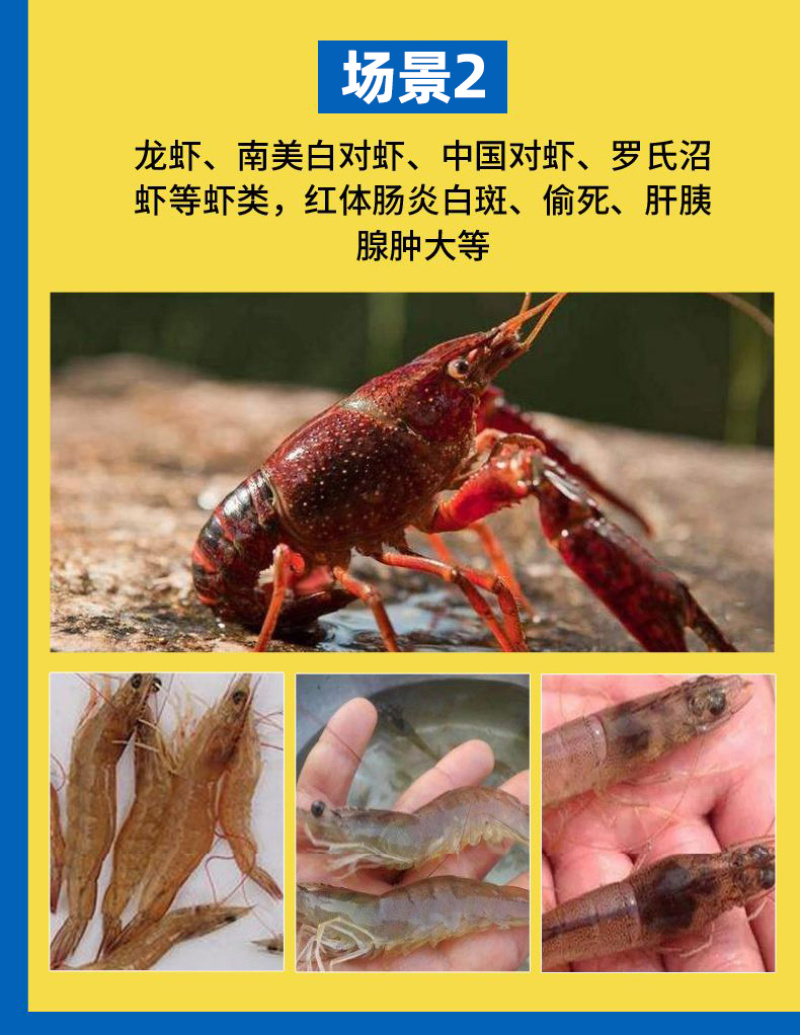 五黄微粉鱼塘五黄粉200目超微粉碎易吸收调理肠道