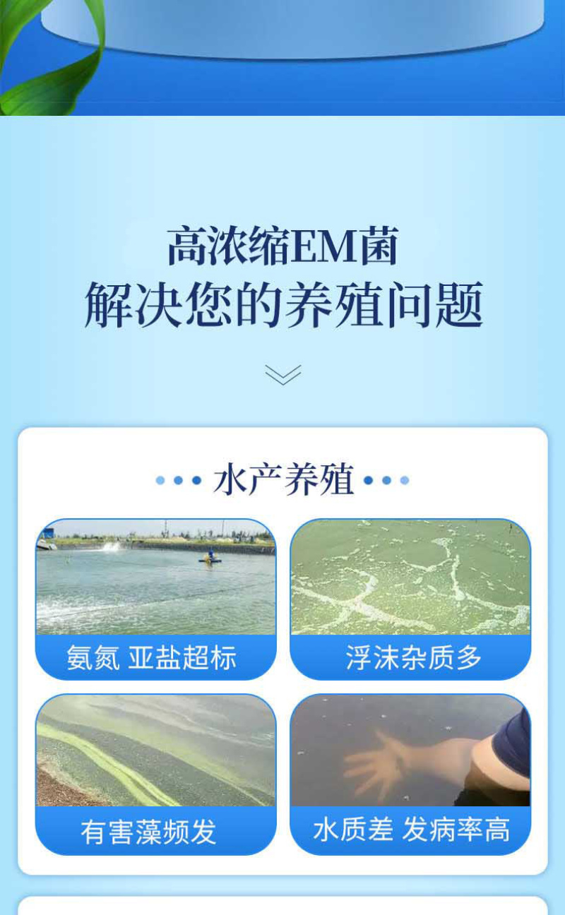 全能菌种EM菌菌种高活性菌种复合有益菌补菌肥水