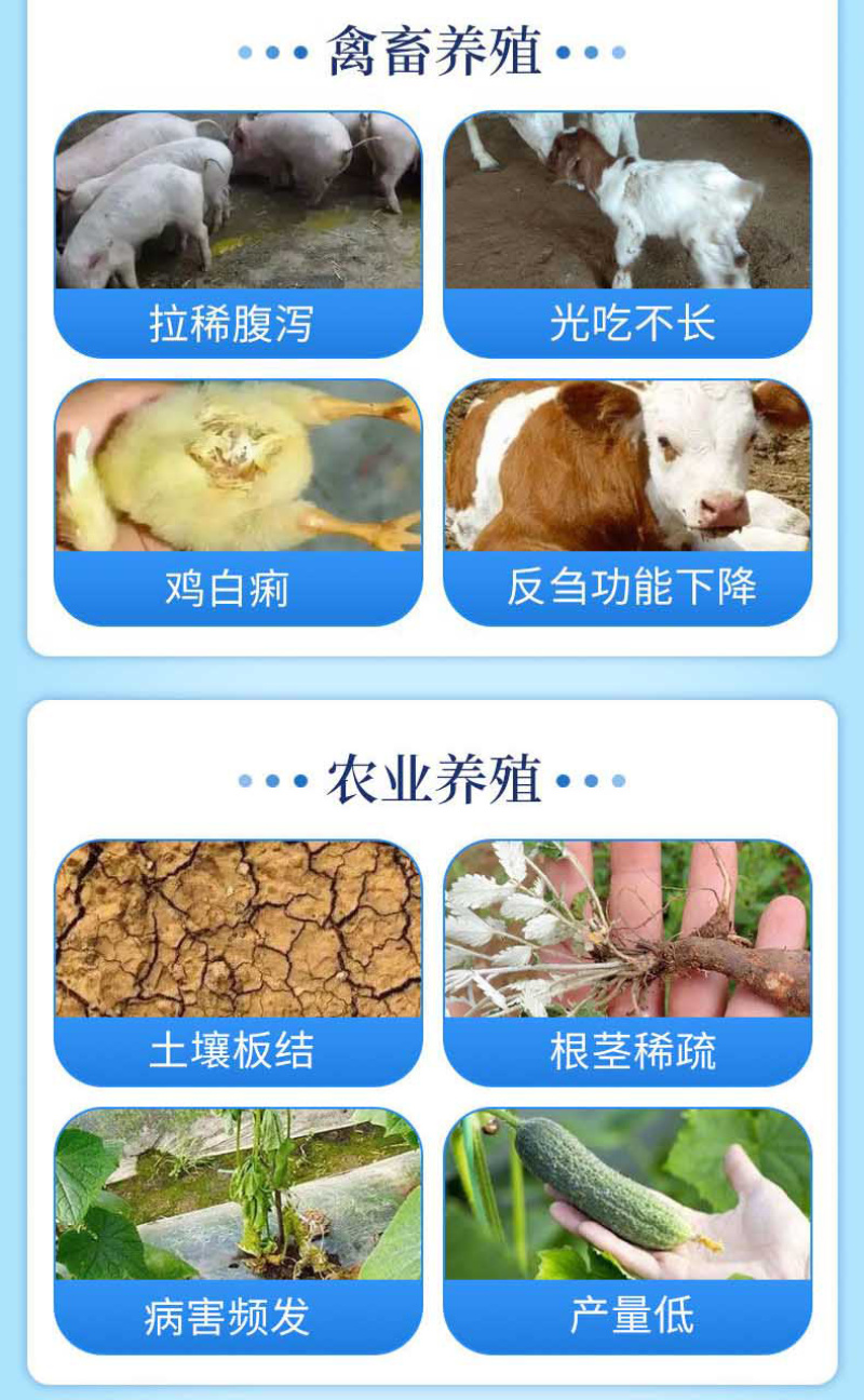 全能菌种EM菌菌种高活性菌种复合有益菌补菌肥水