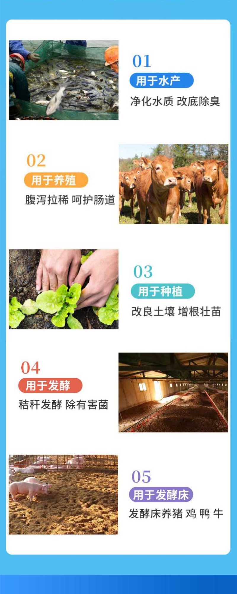 全能菌种EM菌菌种高活性菌种复合有益菌补菌肥水