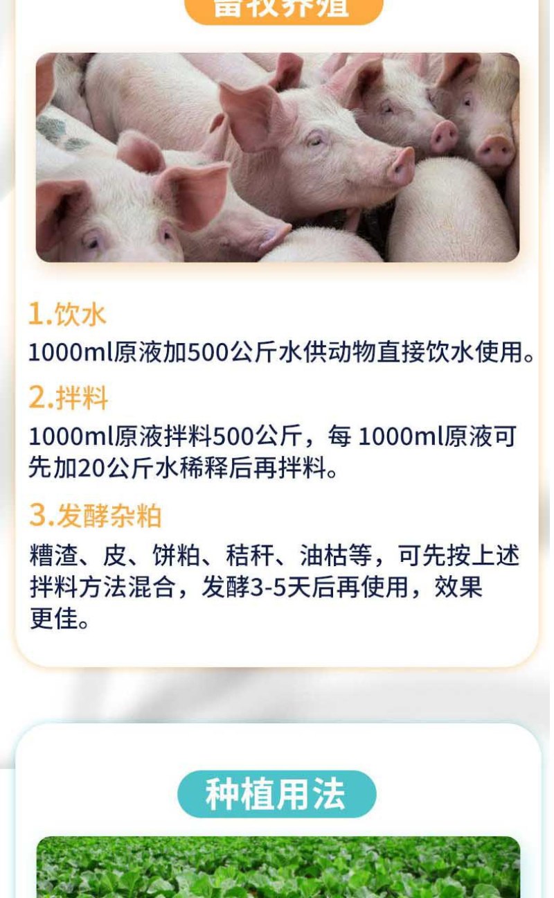 全能菌种EM菌菌种高活性菌种复合有益菌补菌肥水