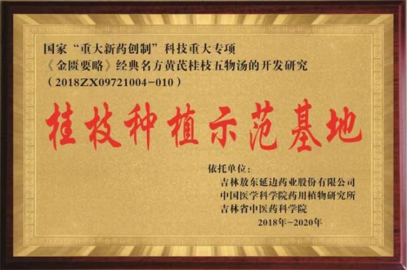 桂枝正宗广西桂枝无硫生切含量够南药园直供