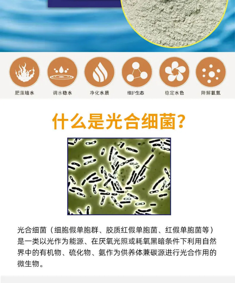 浓缩光合菌粉免发酵扩培补菌稳水调水肥水补菌调水