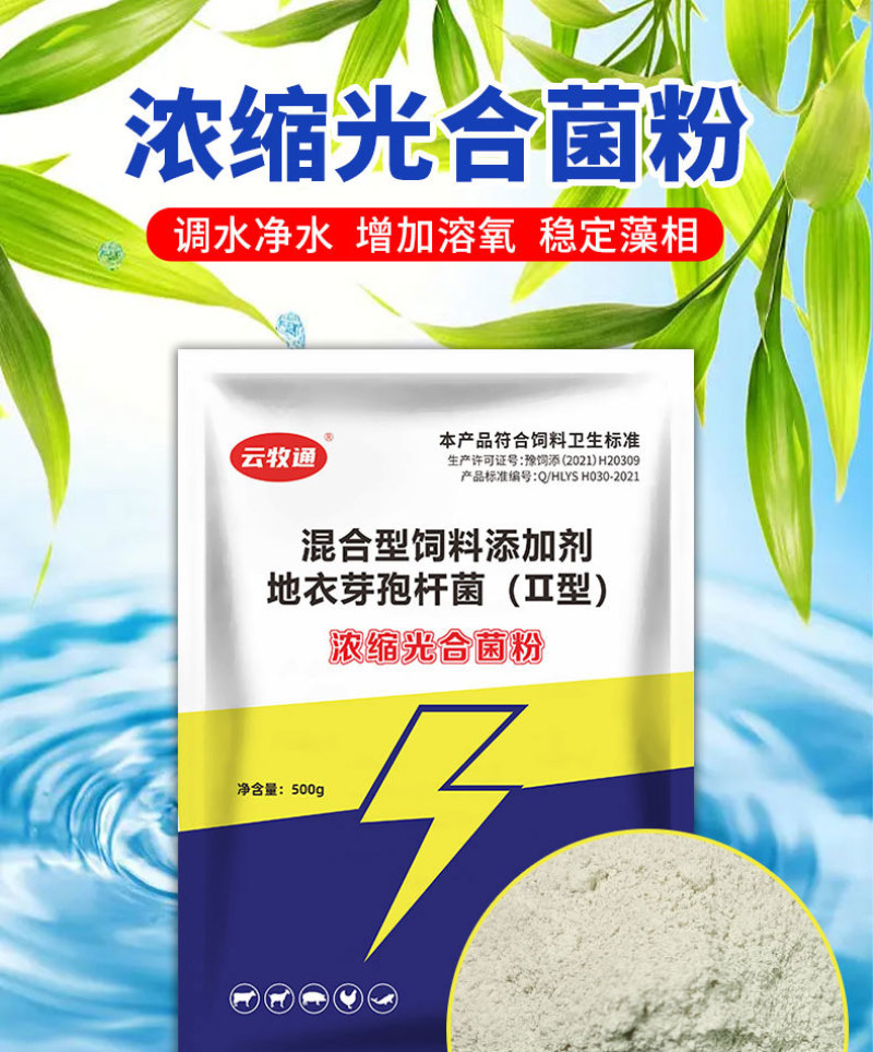 浓缩光合菌粉免发酵扩培补菌稳水调水肥水补菌调水