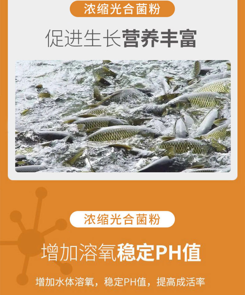浓缩光合菌粉免发酵扩培补菌稳水调水肥水补菌调水