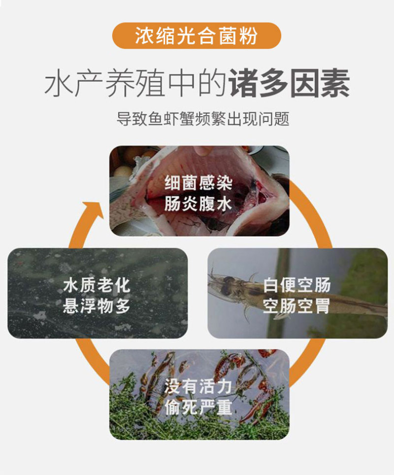 浓缩光合菌粉免发酵扩培补菌稳水调水肥水补菌调水