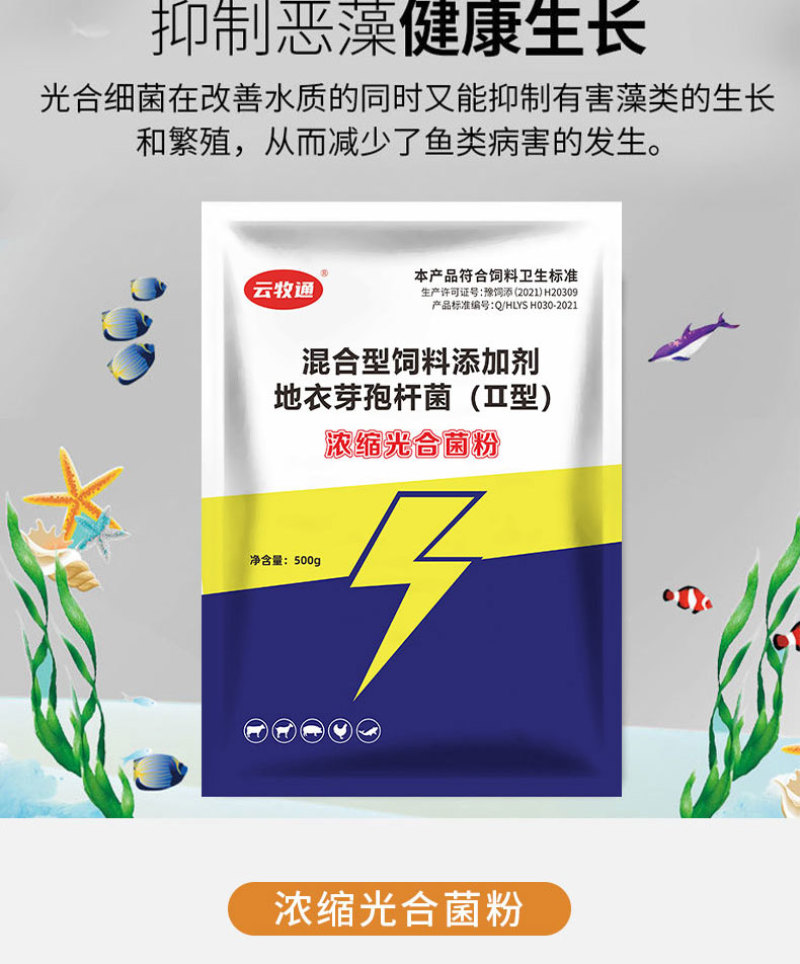 浓缩光合菌粉免发酵扩培补菌稳水调水肥水补菌调水