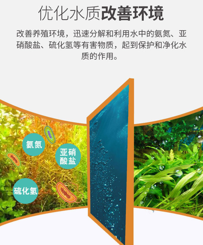 浓缩光合菌粉免发酵扩培补菌稳水调水肥水补菌调水