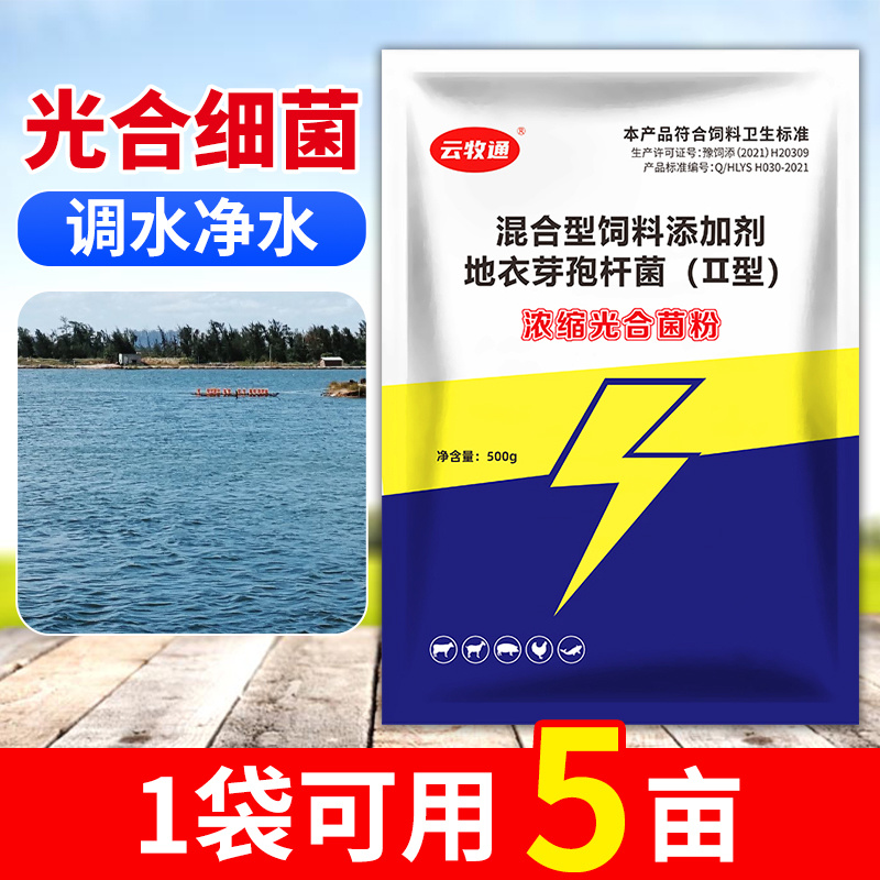 浓缩光合菌粉免发酵扩培补菌稳水调水肥水补菌调水