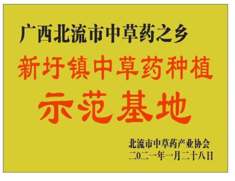 草豆蔻广西草豆蔻优质无硫南药园直供
