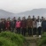 天冬苗广西天冬苗优质高产基地直供南药园技术回收