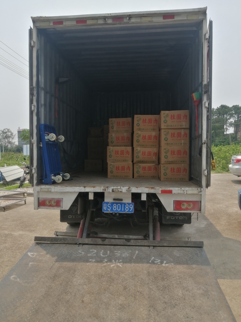 桂圆肉广西桂圆肉龙眼肉优质无硫南药园直供